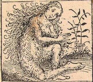 640px-Nuremberg chronicles - Strange People - Hairy Lady (XIIv)