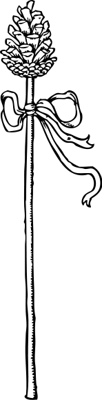 Thyrsus