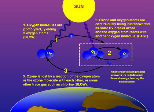 reaction paper on ozone layer reaction paper on ozone layer
