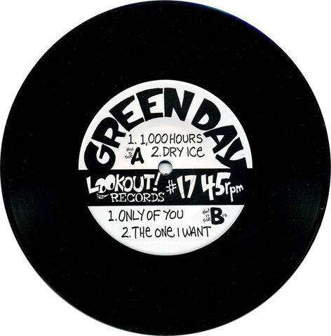 File:1,000 Hours - Vinyl.jpg
