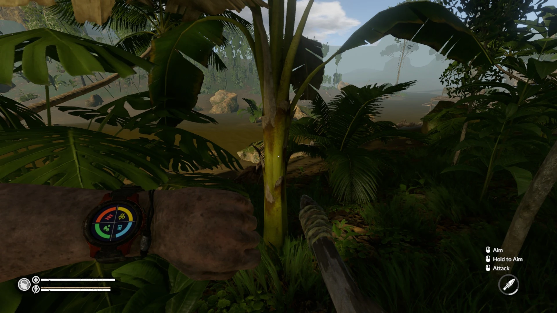 Smart Watch Green Hell Wiki Fandom