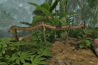 Anaconda Camp Green Hell Wiki Fandom