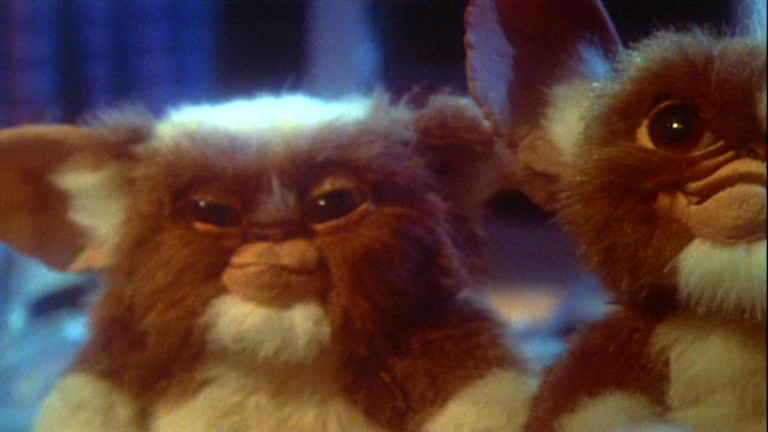 Evil Gremlin Dog Gets Pet Evil Gremlin Dog Gets Pet