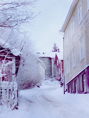 Village