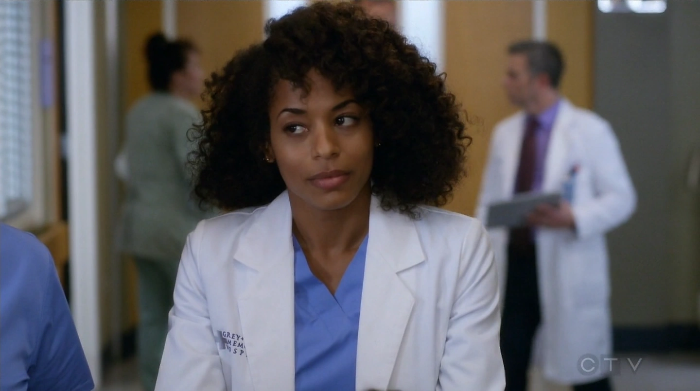 Image - 13x19HannahBrody.png | Wiki Grey's Anatomy | FANDOM powered by