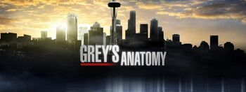 Grey-s-anatomy-saison-14-titre-season-premiere