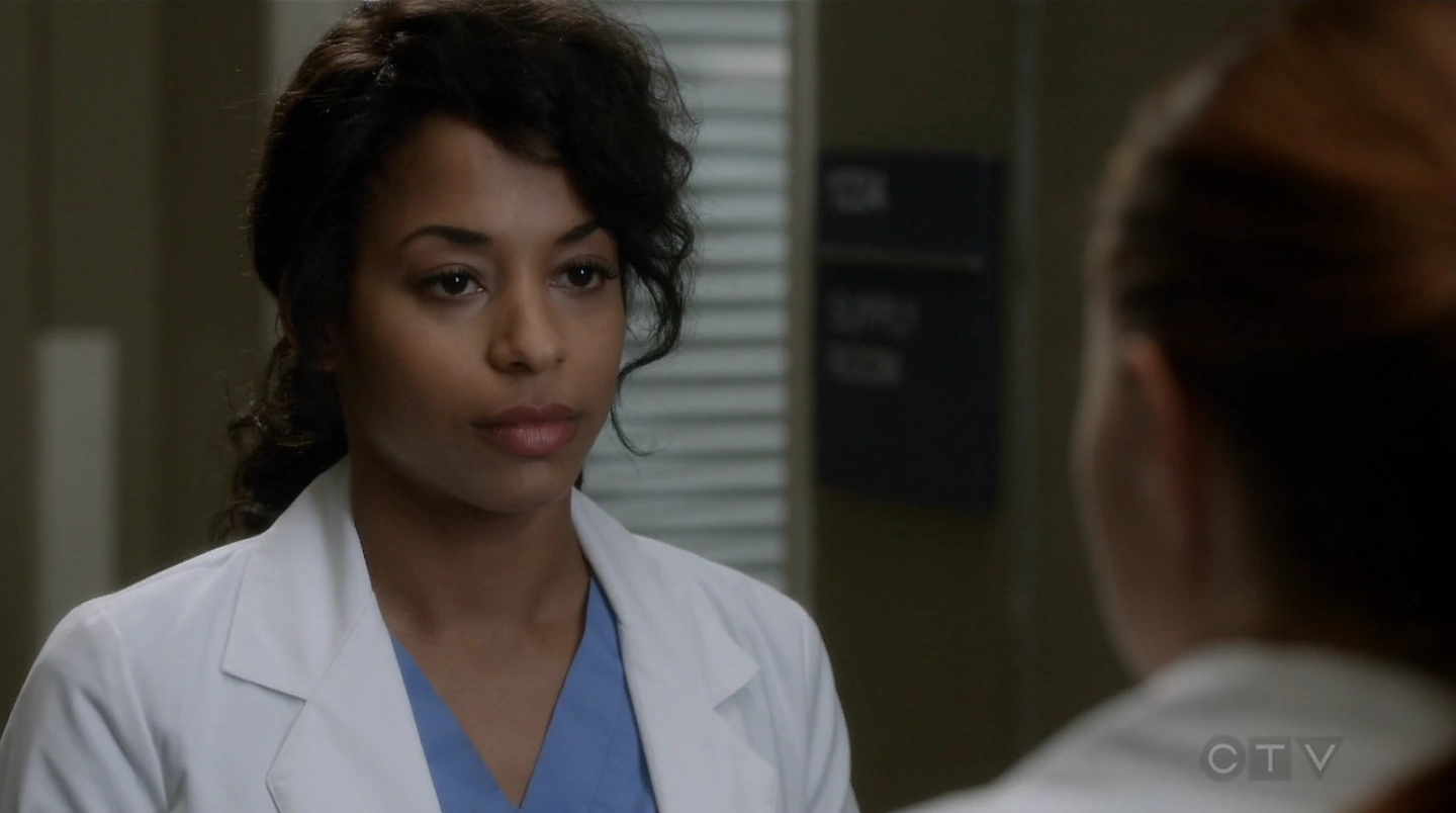 Image - 12x16HannahBrody.png | Wiki Grey's Anatomy | FANDOM powered by