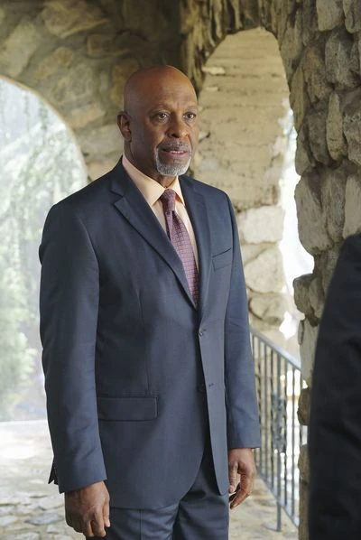 Richard Webber Wiki Grey's Anatomy FANDOM powered by Wikia