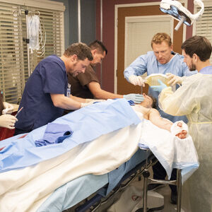 Grey S Anatomy Cast Season 15 Episode 13