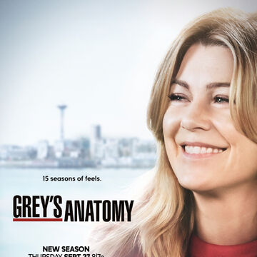 Season 15 Grey S Anatomy Grey S Anatomy Universe Wiki Fandom