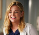 Arizona Robbins