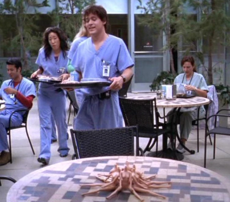 Judy Dolls Grey's Anatomy Universe Wiki Fandom