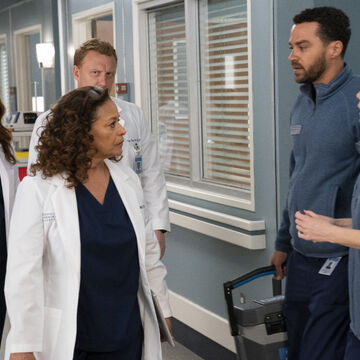 The Whole Package Grey S Anatomy Universe Wiki Fandom
