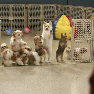 Odd Man Out Grey S Anatomy Universe Wiki Fandom
