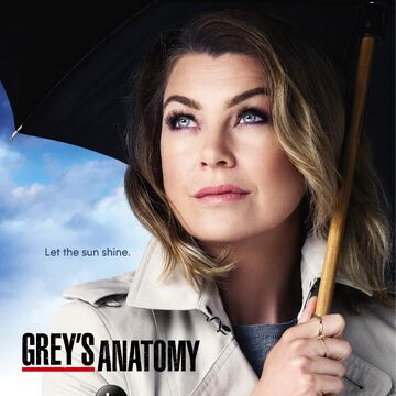 Season 12 Grey S Anatomy Grey S Anatomy Universe Wiki Fandom