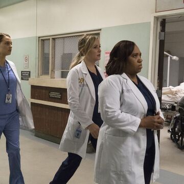 You Can Look But You D Better Not Touch Grey S Anatomy Universe Wiki Fandom