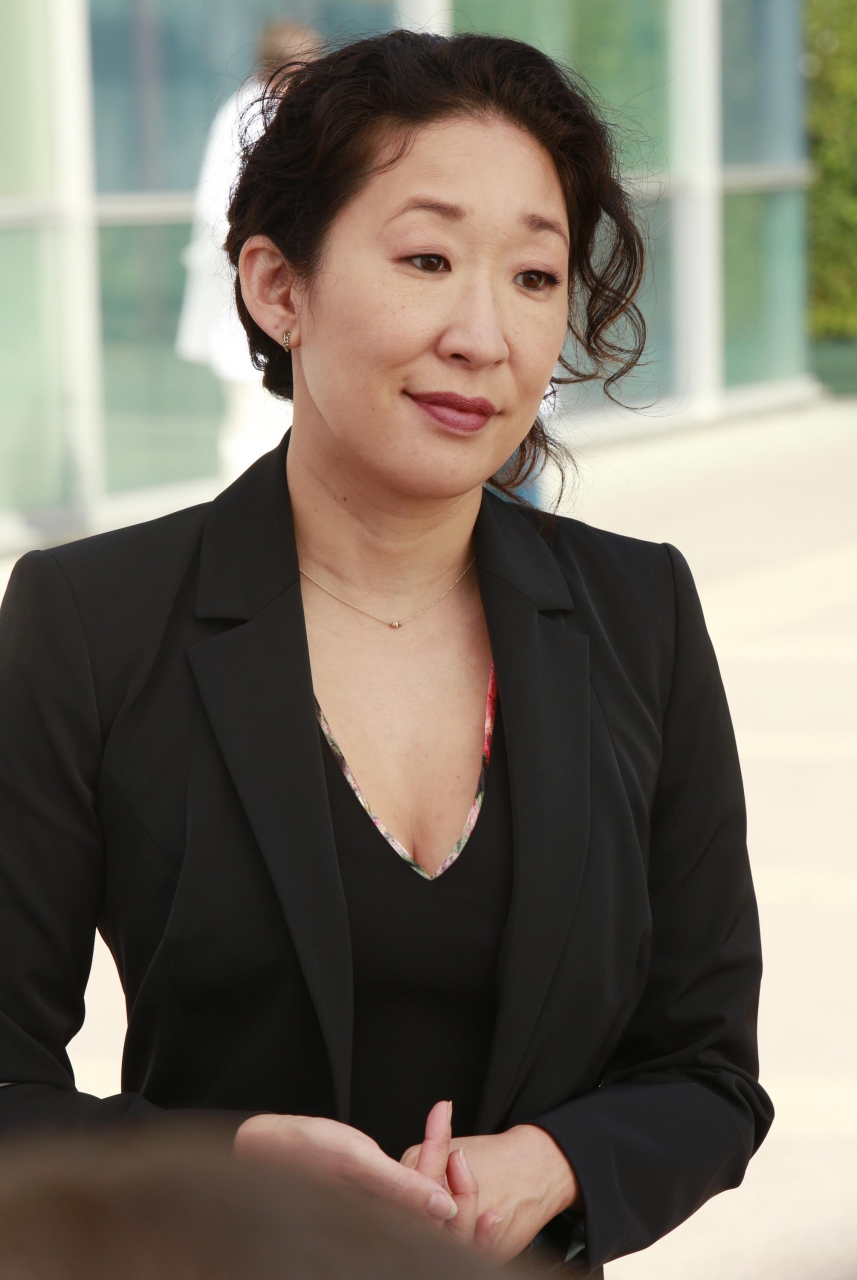 Cristina Yang Grey's Anatomy Universe Wiki FANDOM powered by Wikia