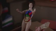 Anatomia Jane