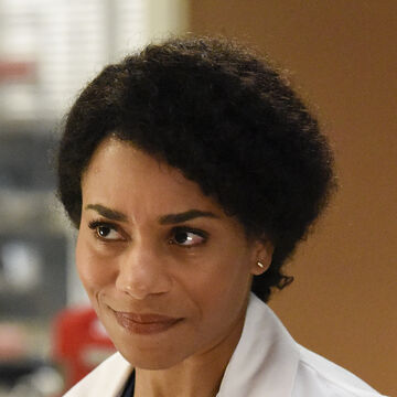 Maggie Pierce Grey S Anatomy Universe Wiki Fandom