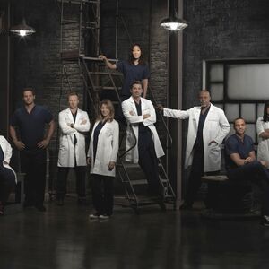 Season 9 Grey S Anatomy Grey S Anatomy Universe Wiki Fandom
