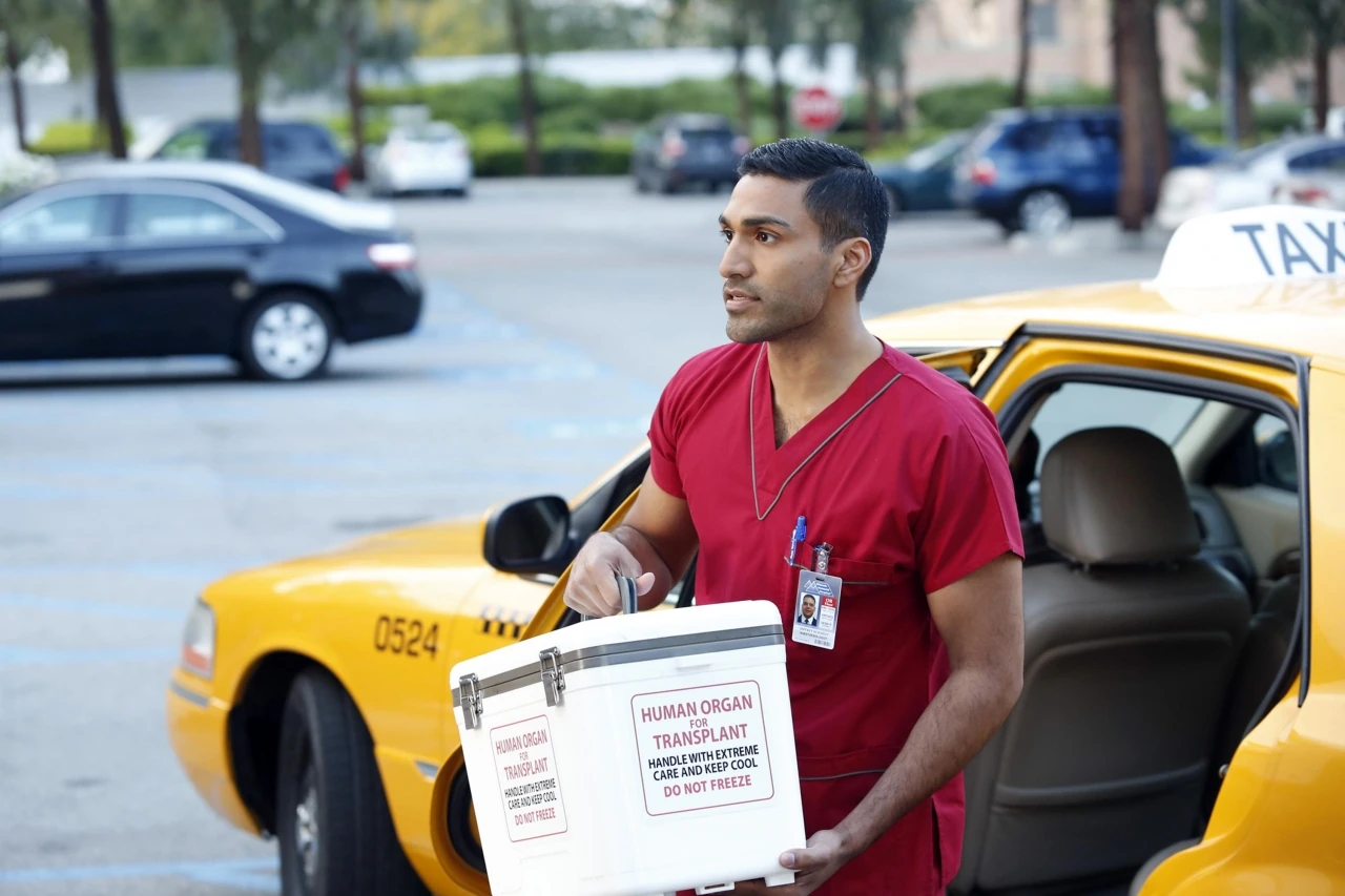 Jeffrey Schmidt | Grey's Anatomy Universe Wiki | Fandom