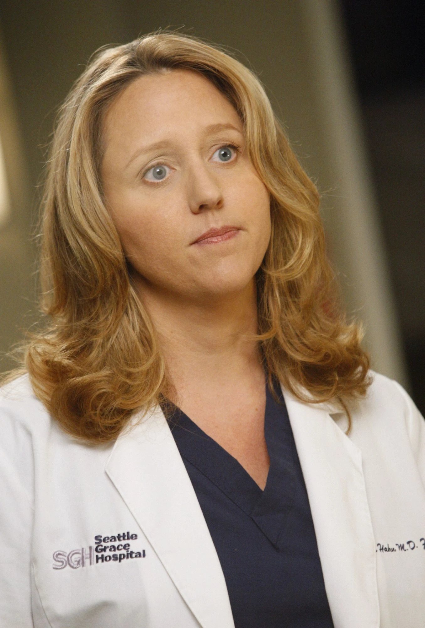 Image - 4x14-10.jpg | Grey's Anatomy Universe Wiki | FANDOM powered by
