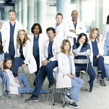 Season 8 Grey S Anatomy Grey S Anatomy Universe Wiki Fandom