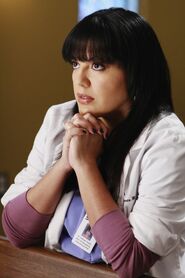 Download Before and After | Grey's Anatomy Universe Wiki | FANDOM ...