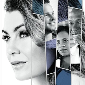 Season 14 Grey S Anatomy Grey S Anatomy Universe Wiki Fandom