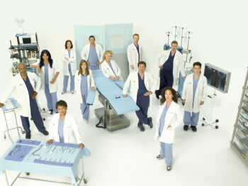 Season 5 (Grey's Anatomy) | Grey's Anatomy Universe Wiki ...