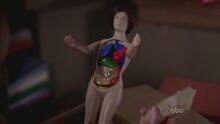 Anatomy Jane