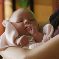 Ellis Shepherd Greysanatomyfanfiction Wiki Fandom
