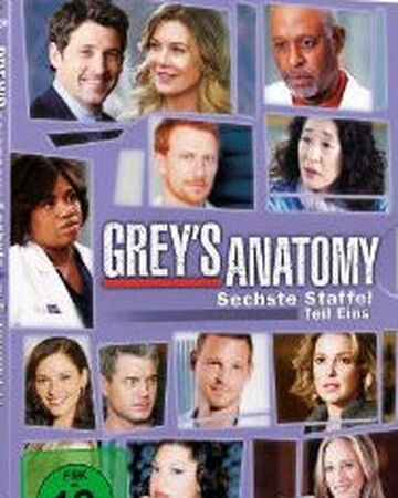 Staffel Sechs Grey S Anatomy Wiki Fandom