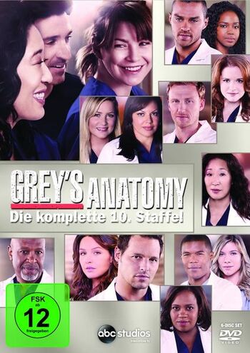 Staffel 10 Greys Anatomy Wiki Fandom Powered By Wikia