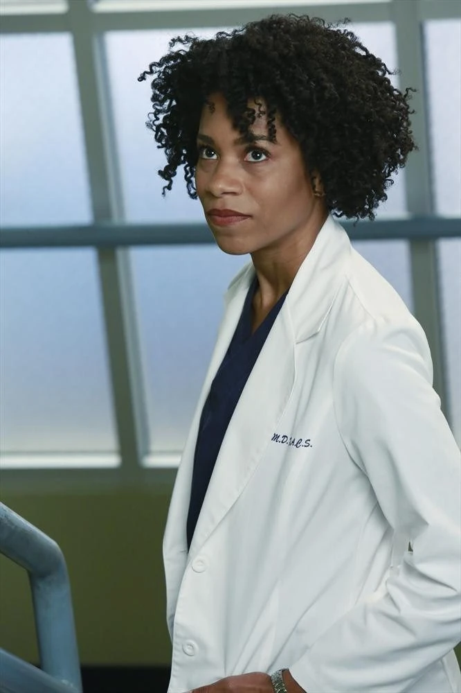 Maggie Pierce | Grey's Anatomy Wiki | FANDOM powered by Wikia