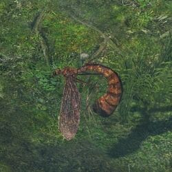 GiantMosquito