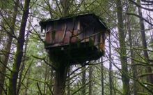 107 rapozel tower