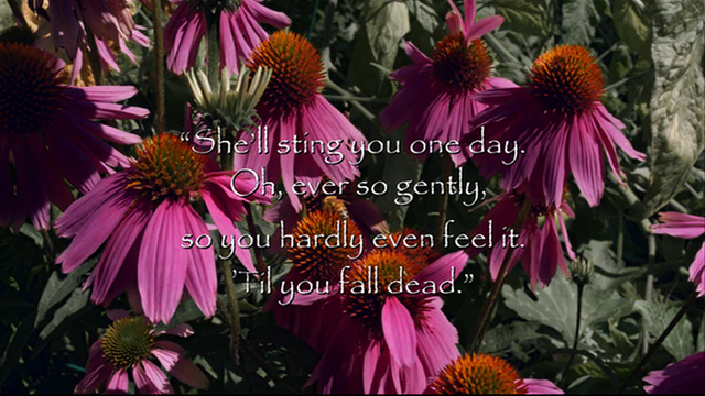 Fájl:Quote 103.png