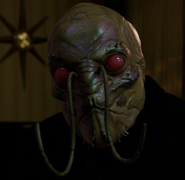 Image-1