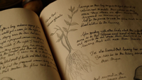 314-Valerian root book