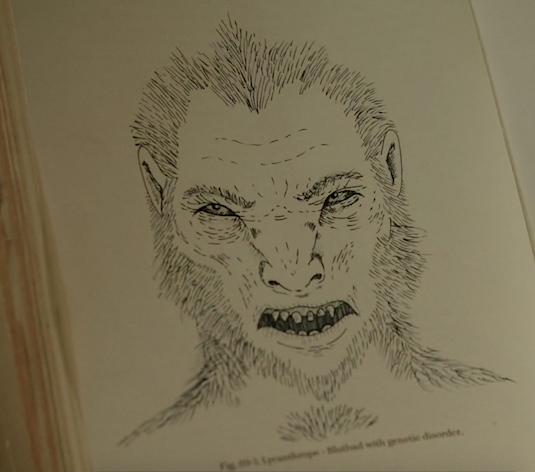 Гримм существа список с картинками и описанием