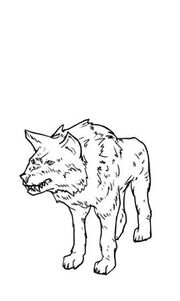 Wolf