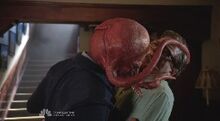 401 octapus head
