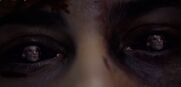 Eyes grimm-1