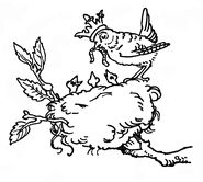 Image result for Der Zaunkönig und der Bär