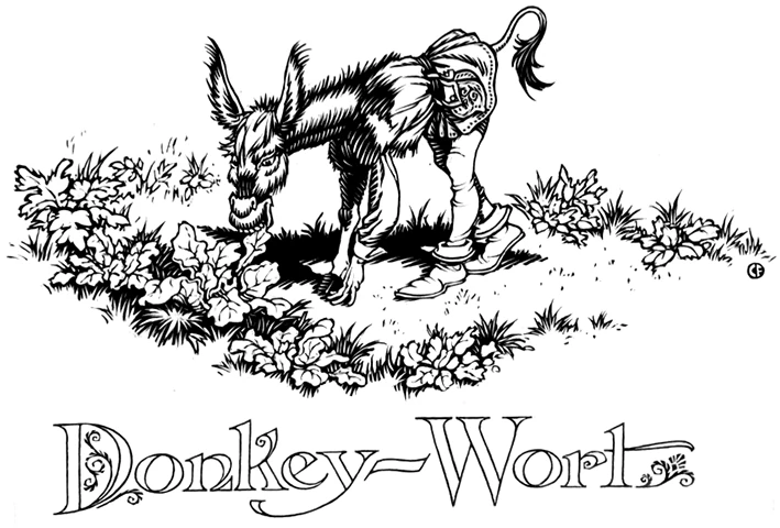 Das Eselein (Illustrationen) GrimmBilder Wiki Fandom