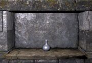 Flask ig