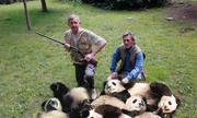 Christophe Salengro à la chasse aux pandas