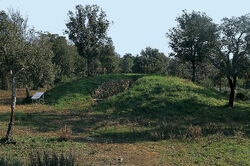 Scarlino Poggio Tondo