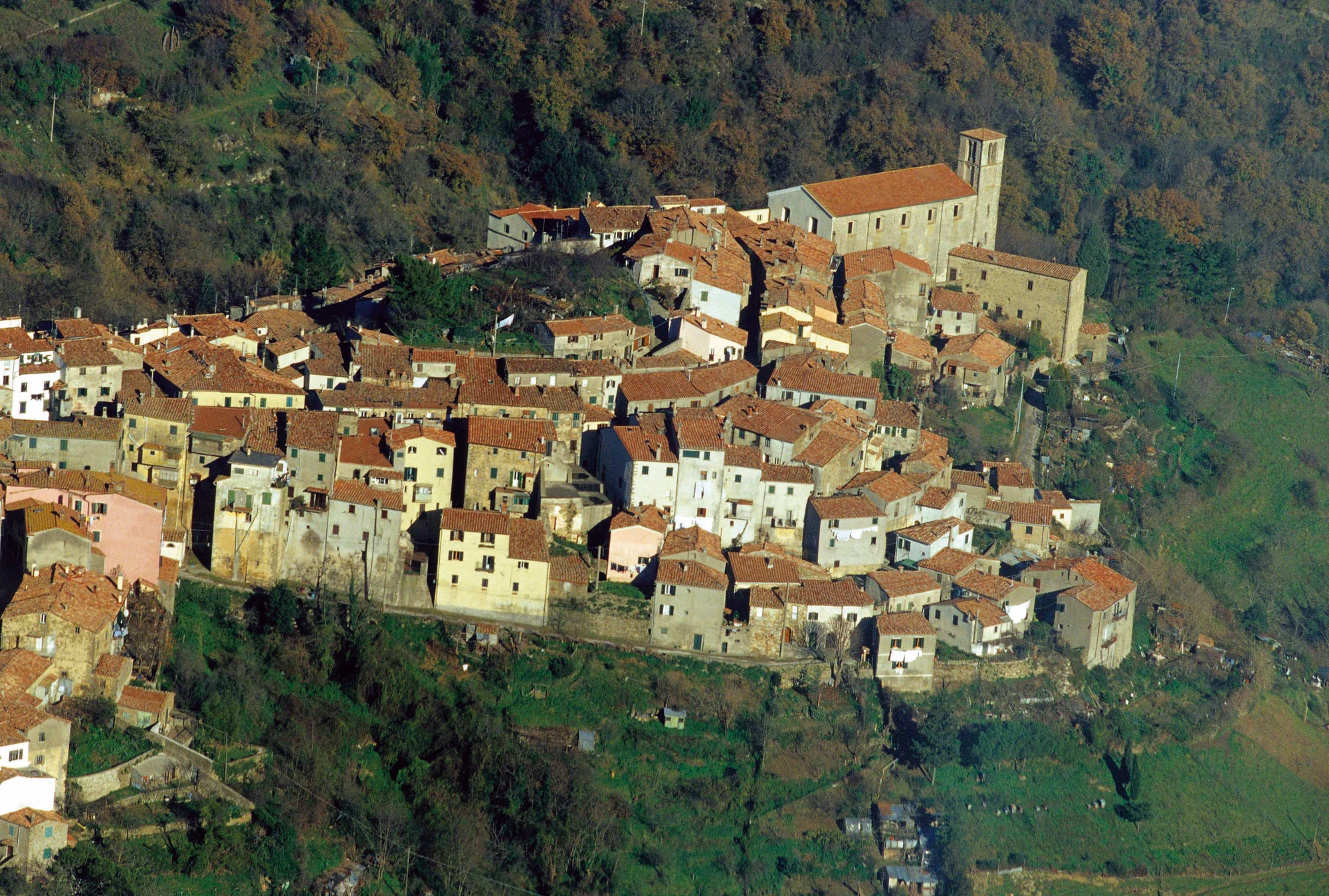 Scansano Grossetopedia Wiki Fandom